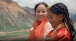 老师的兔子又大又白